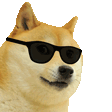 :cooldog:
